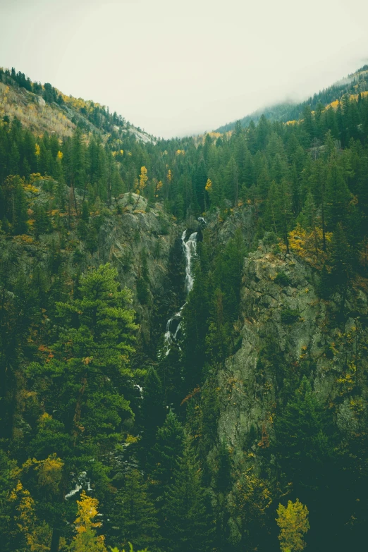 the view of a waterfall and forested area