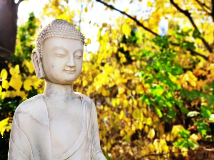 a white statue is sitting in front of trees