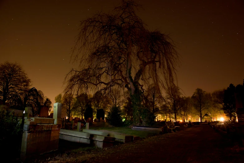 a lit tree on a dark night with bright lights shining down