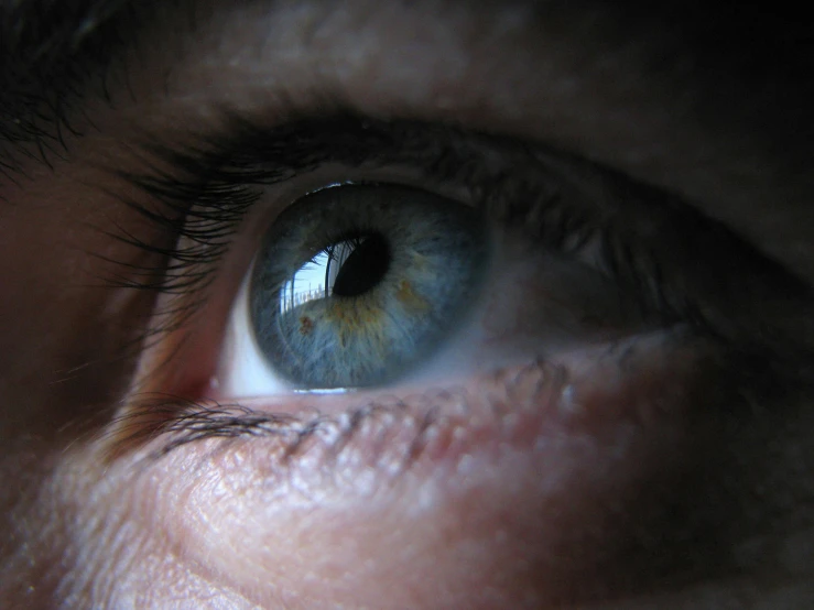 the left eye of a man showing blue green eyes