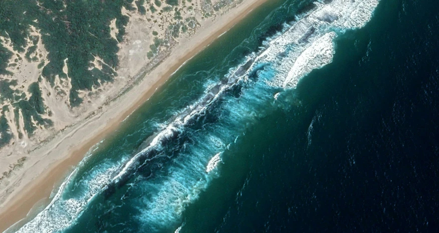 aerial view of green coast with rolling wave in water