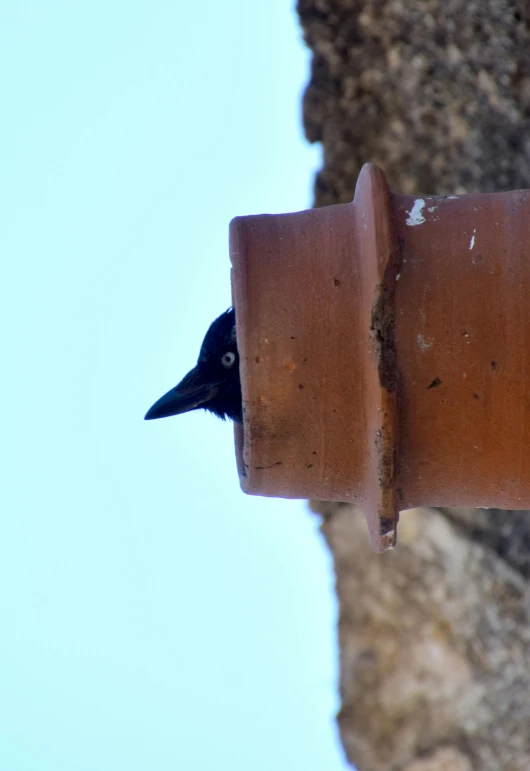 a black bird is perched on the corner of a wooden structure