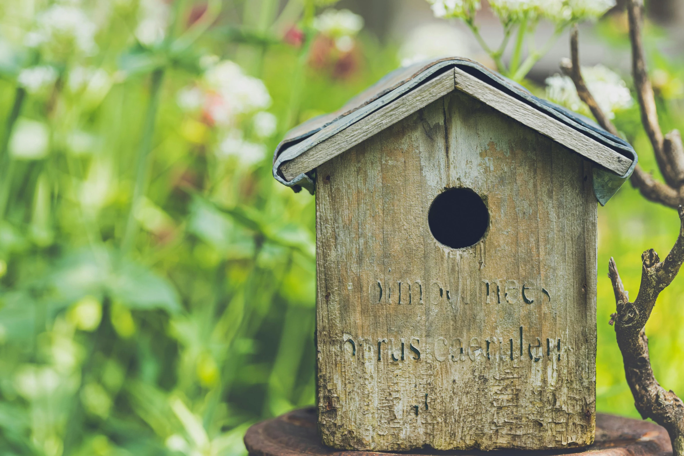 there is a small wooden birdhouse built on a tree stump