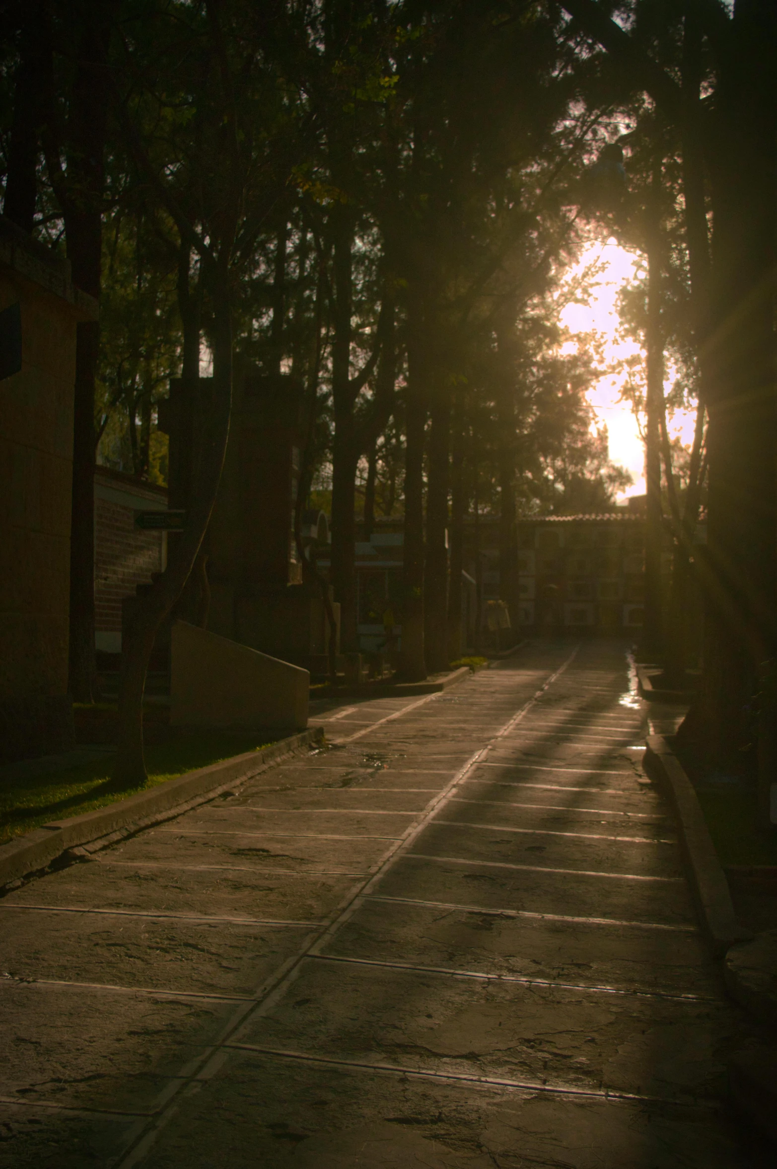 the sun setting in the distance as the street has no traffic lights