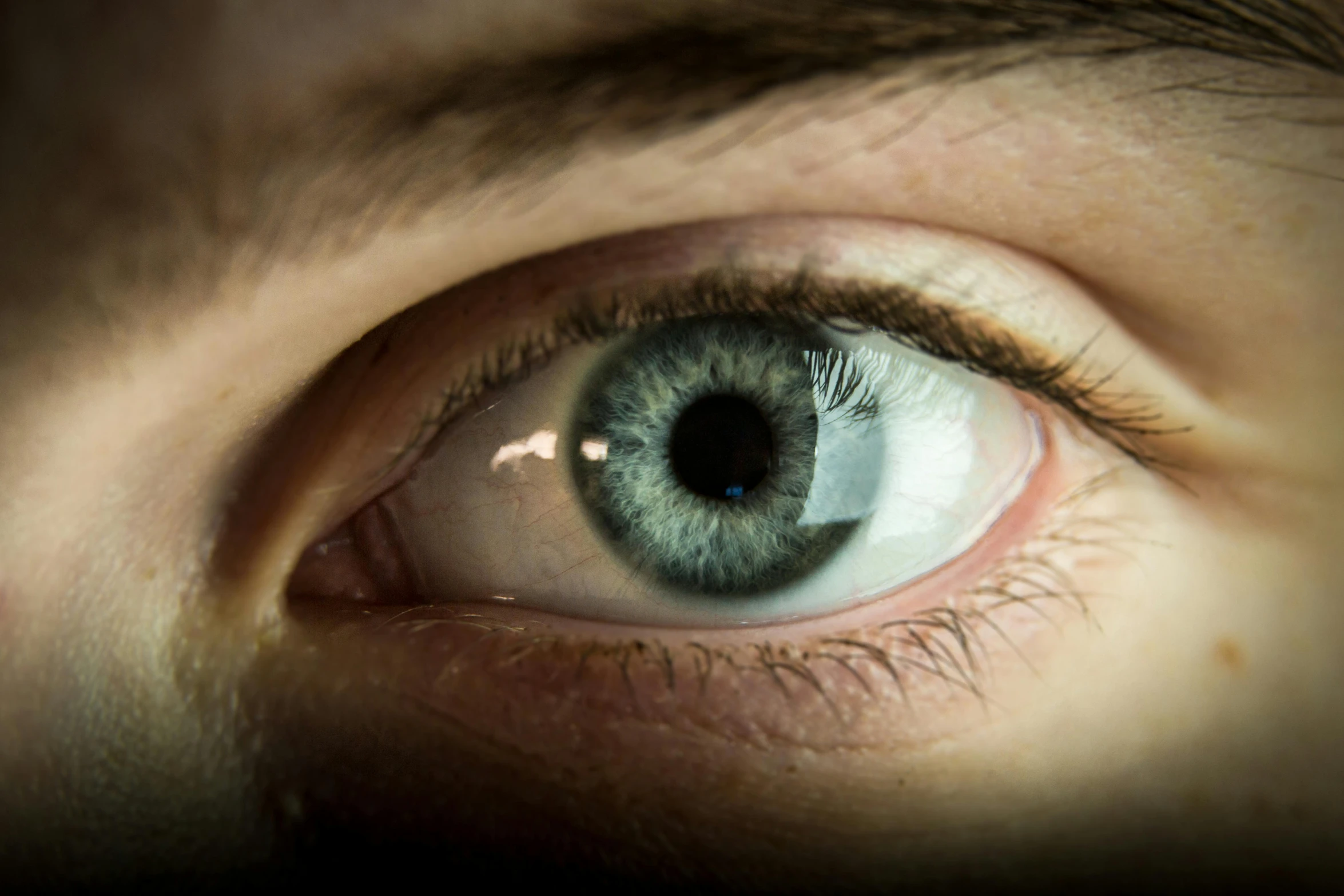 an up close s of an eye with only blue and green colored iris