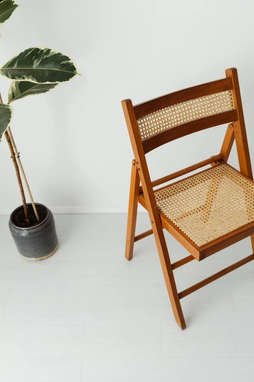 a wooden chair next to a potted plant