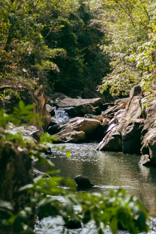 the stream is surrounded by many rocks and trees