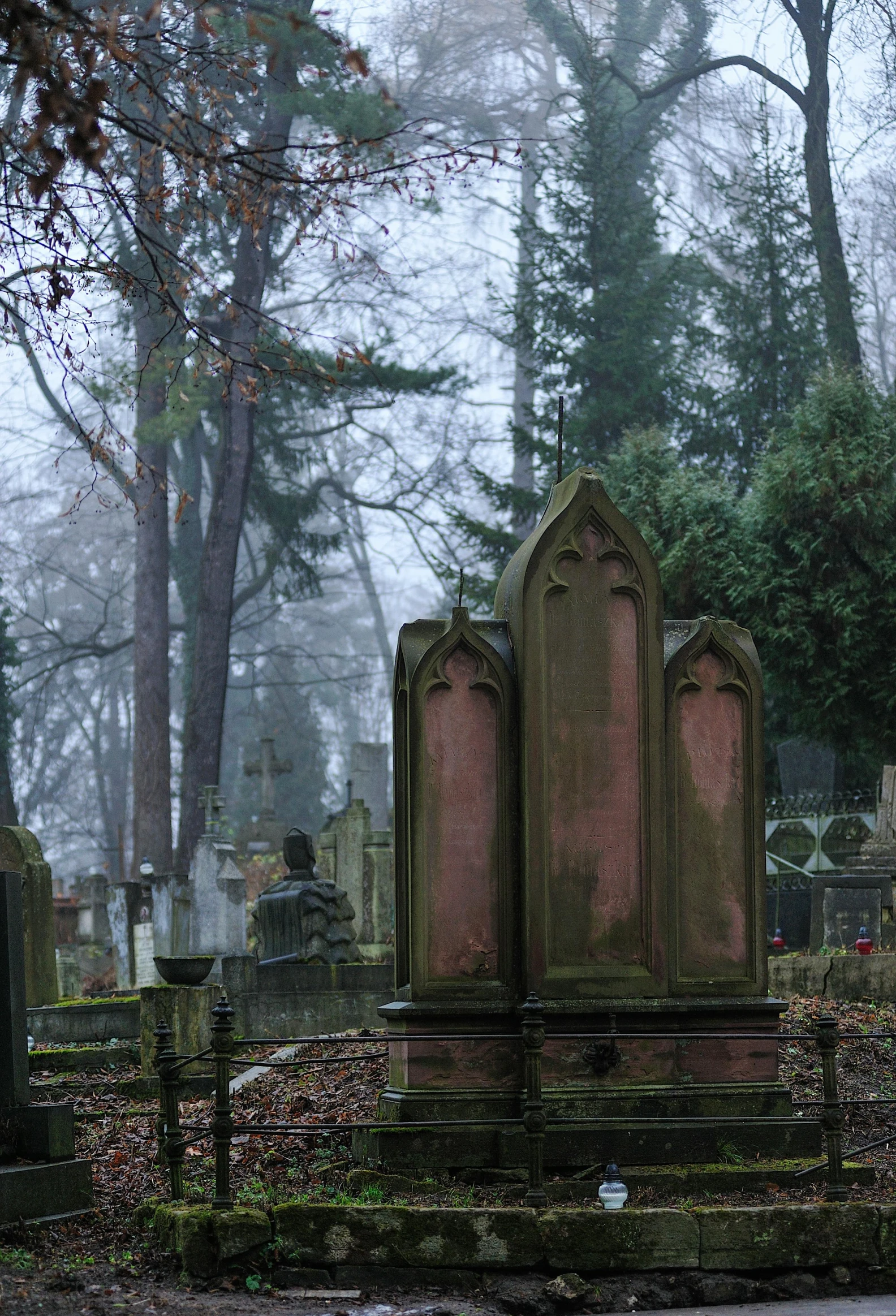 cemetery cemetery with mossy trees, graves and green plants