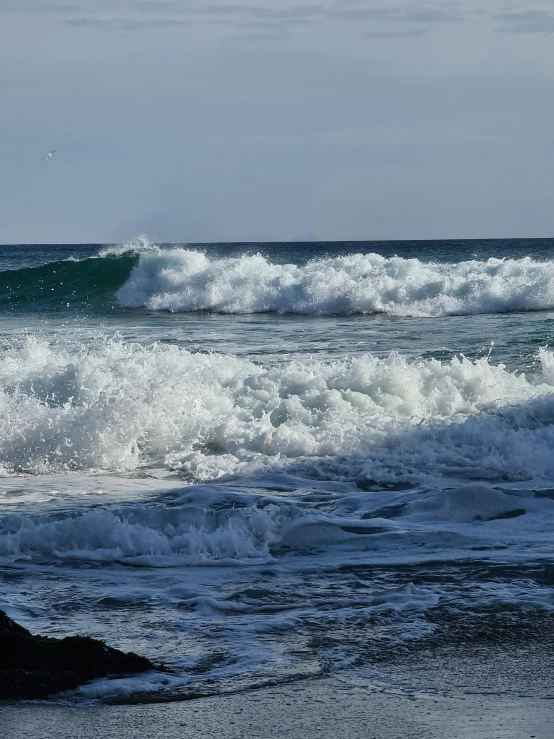 a surfer walking out into the water by the shore