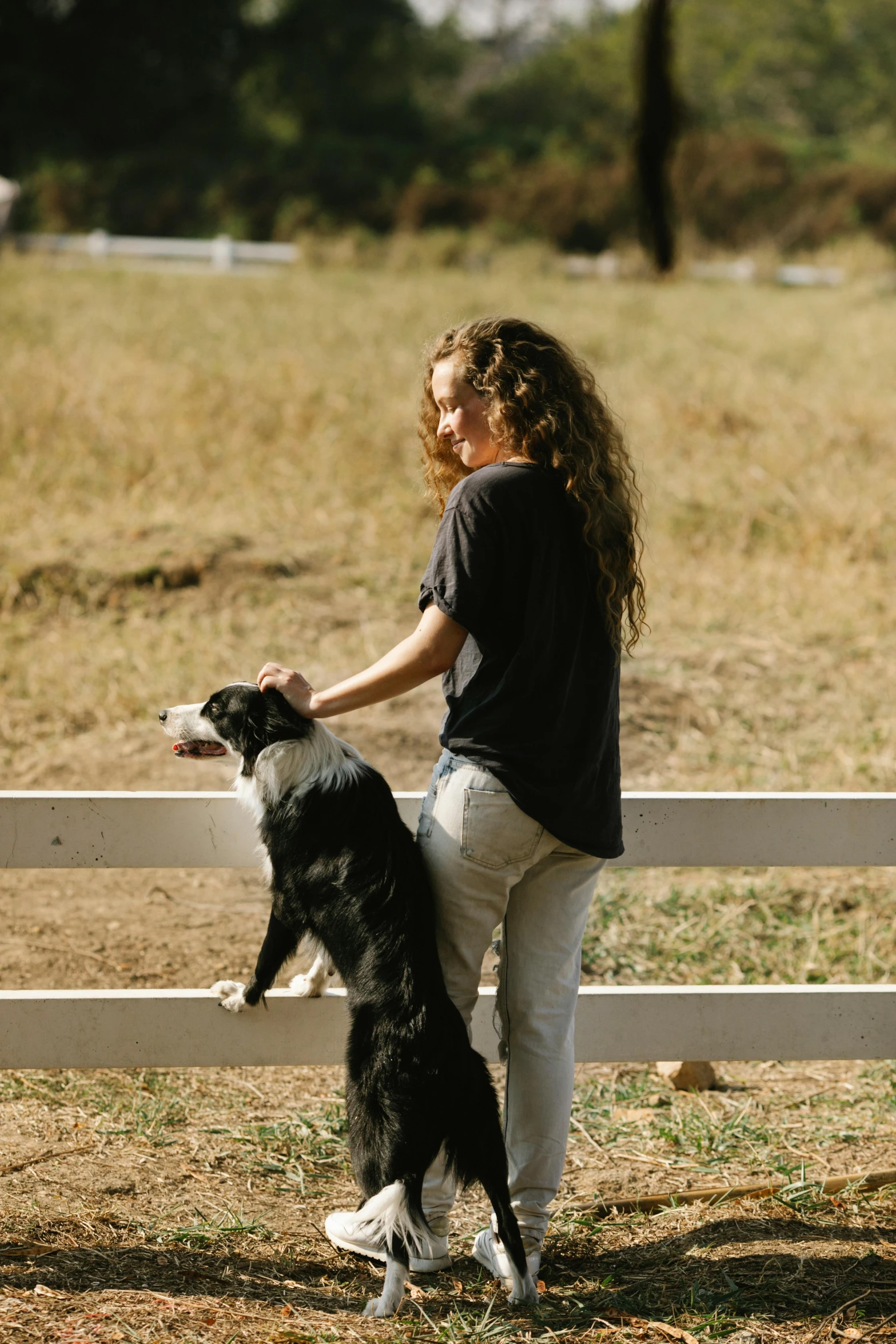 a woman is training a border collie dog in a corral