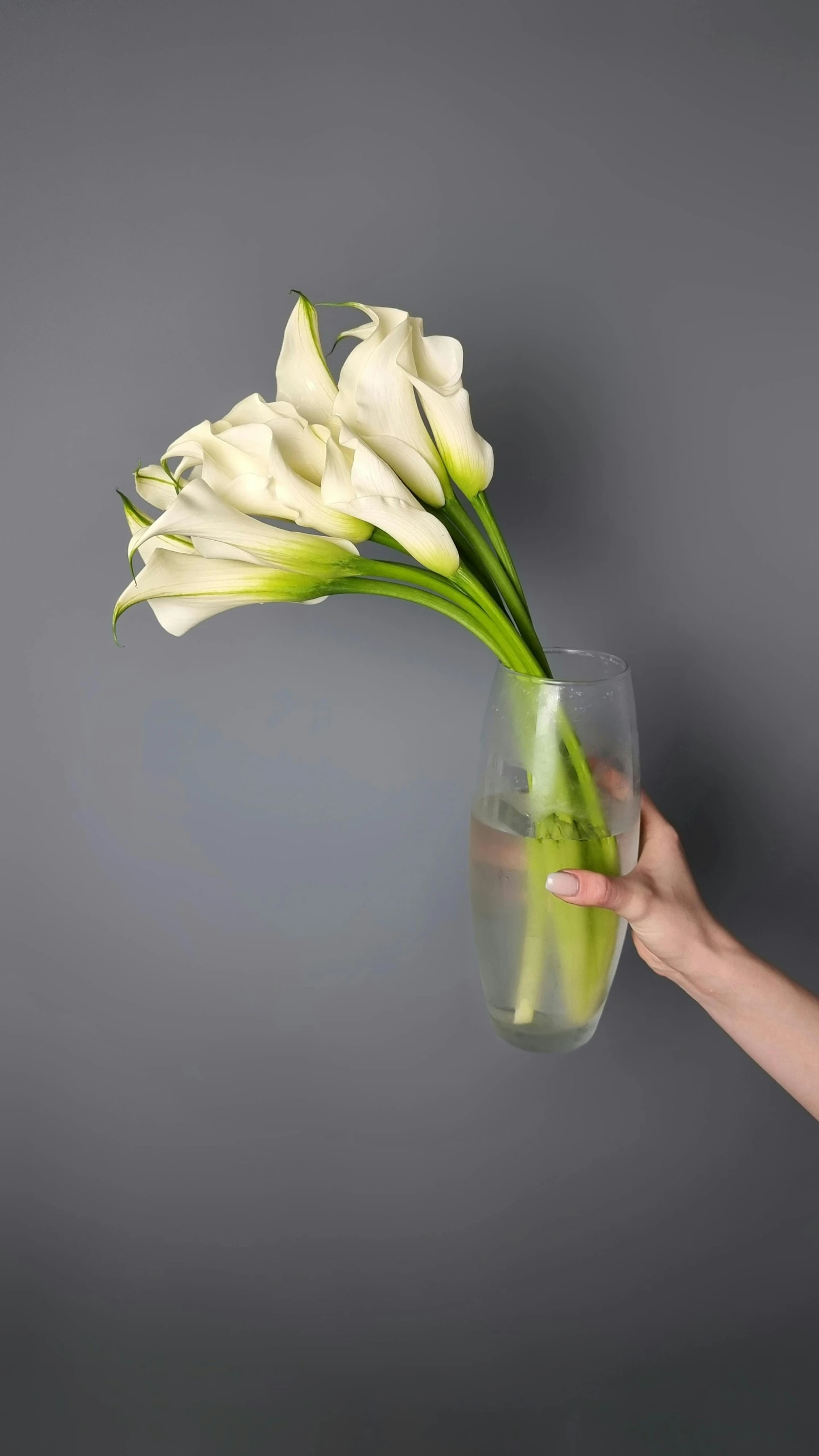 someone is holding up a vase filled with white flowers