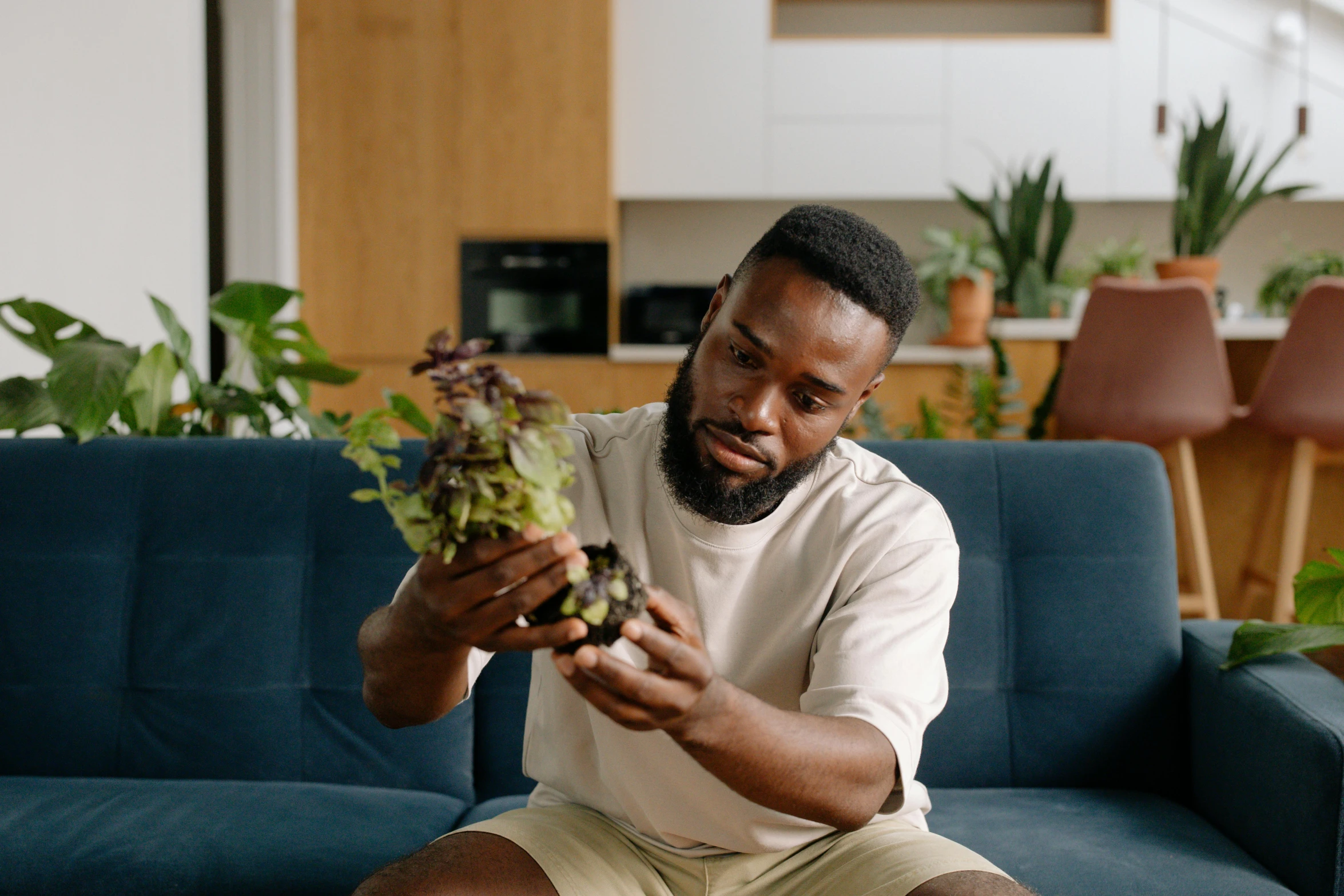 the man is sitting on the couch and looking at the flower