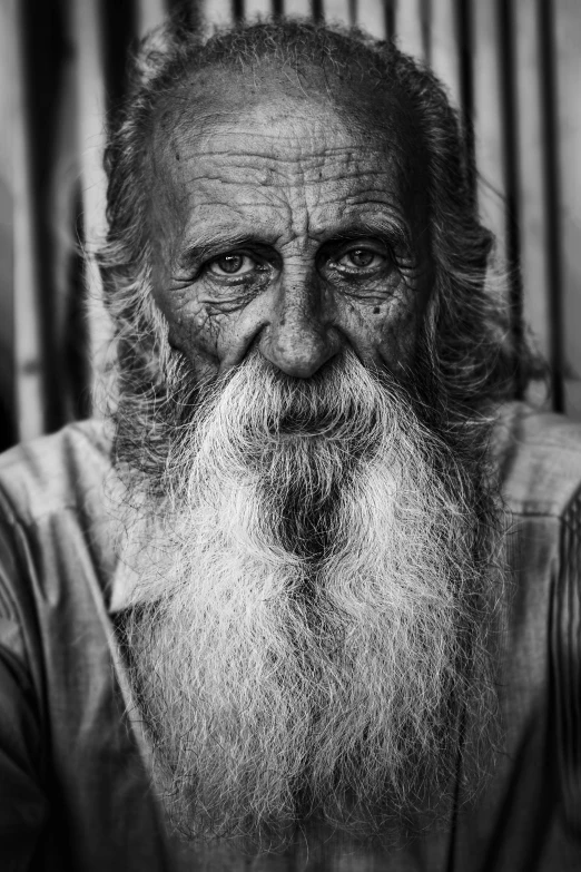 a bearded man with a long beard and glasses