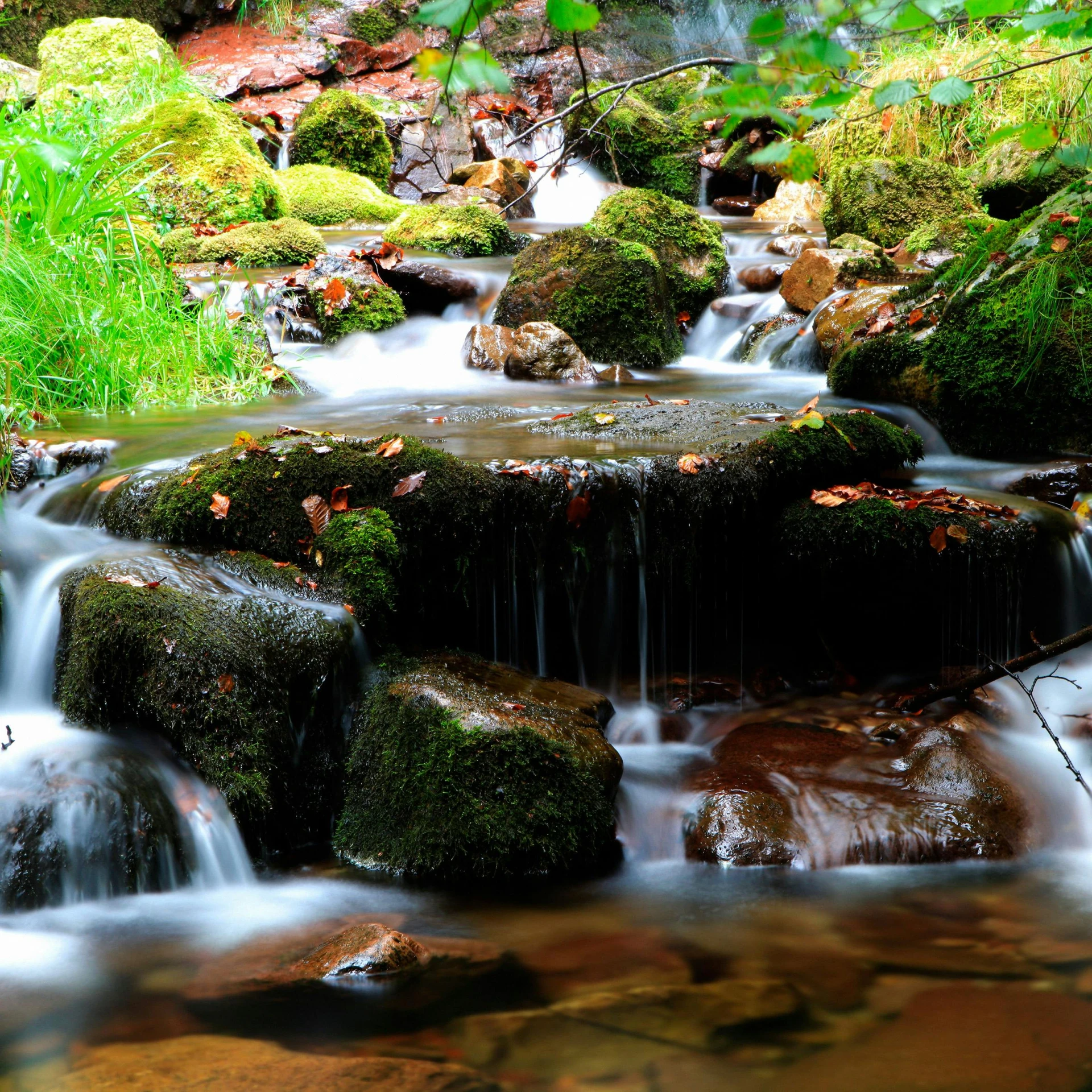 a small waterfall is covered with moss and rocks