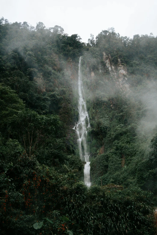 a foggy waterfall on top of a mountain in the jungle