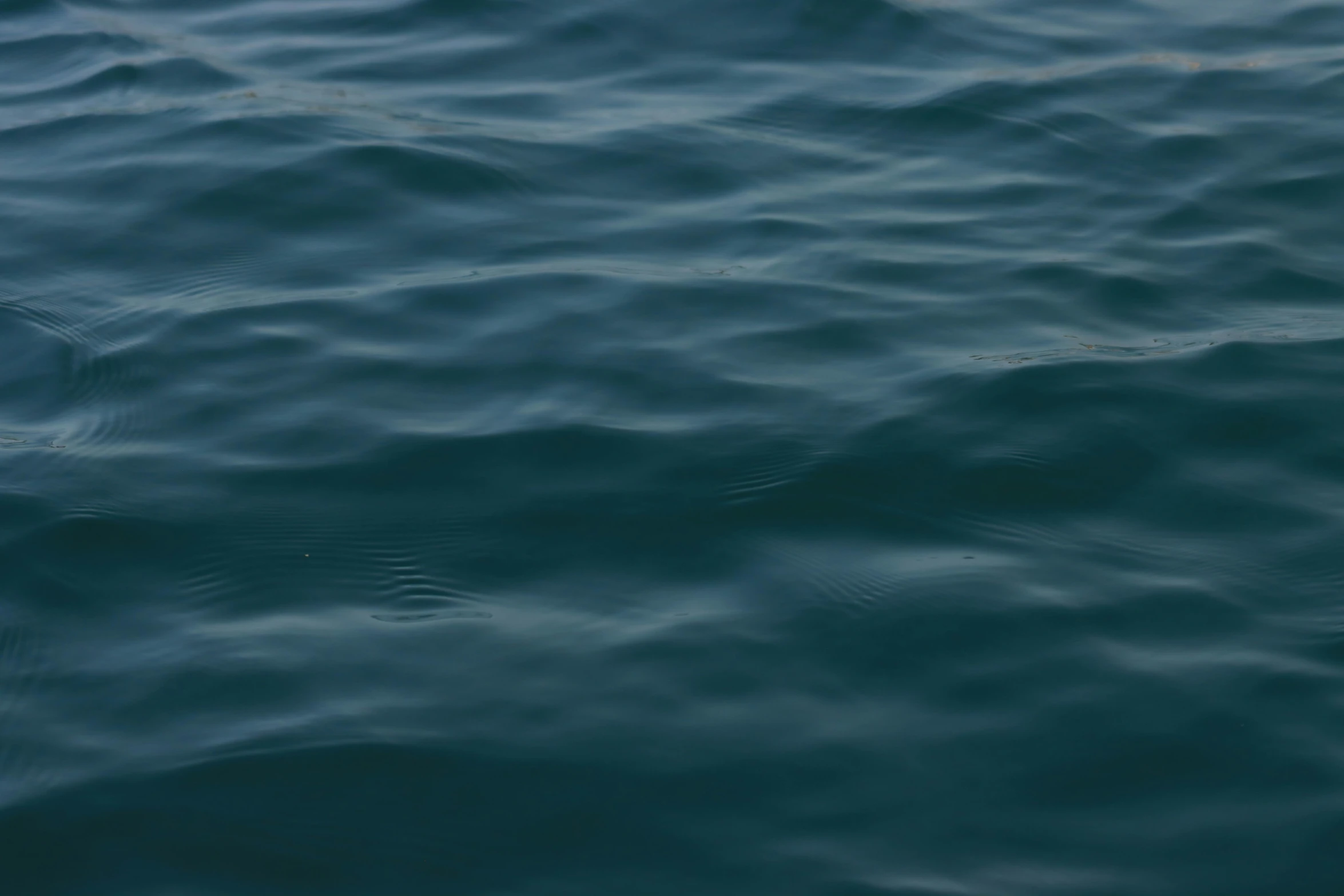 the blue waves of the ocean are moving in unison