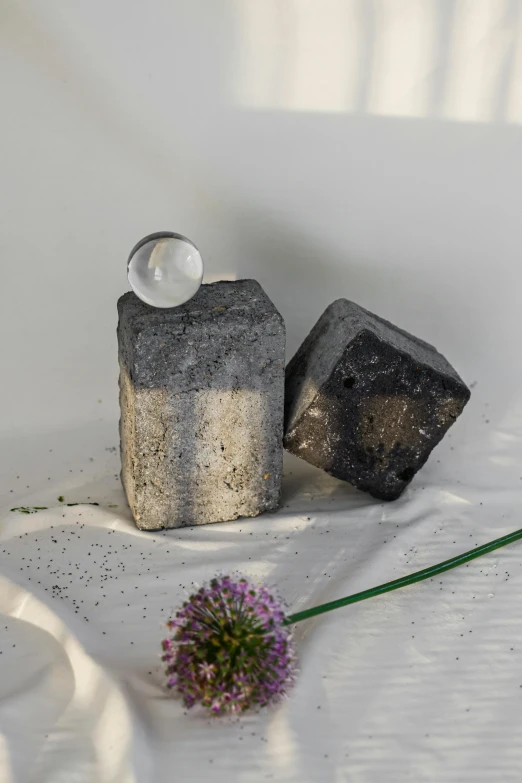 two rocks and some flower on a white surface