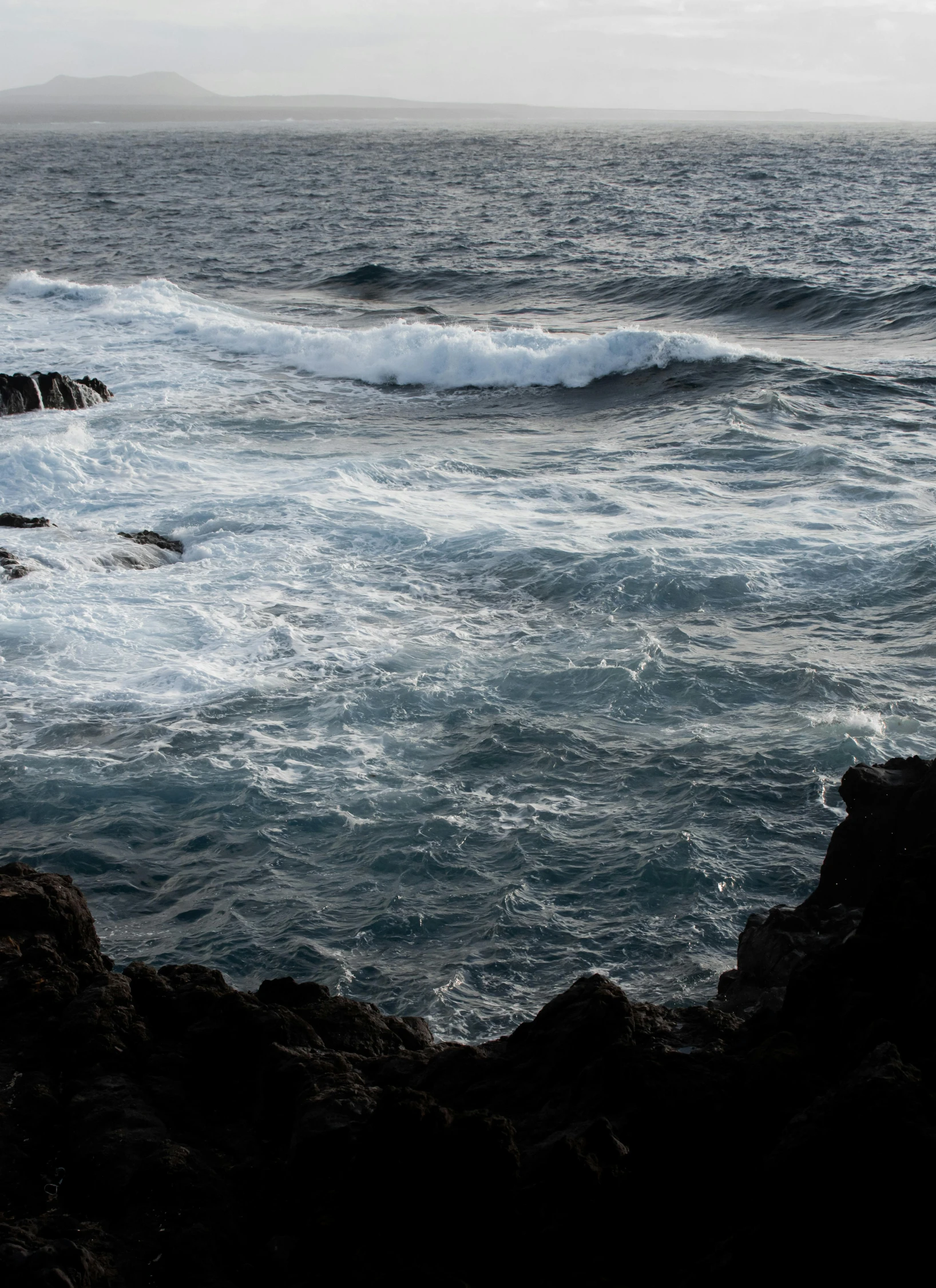 a couple of birds sitting on the rocks near the ocean