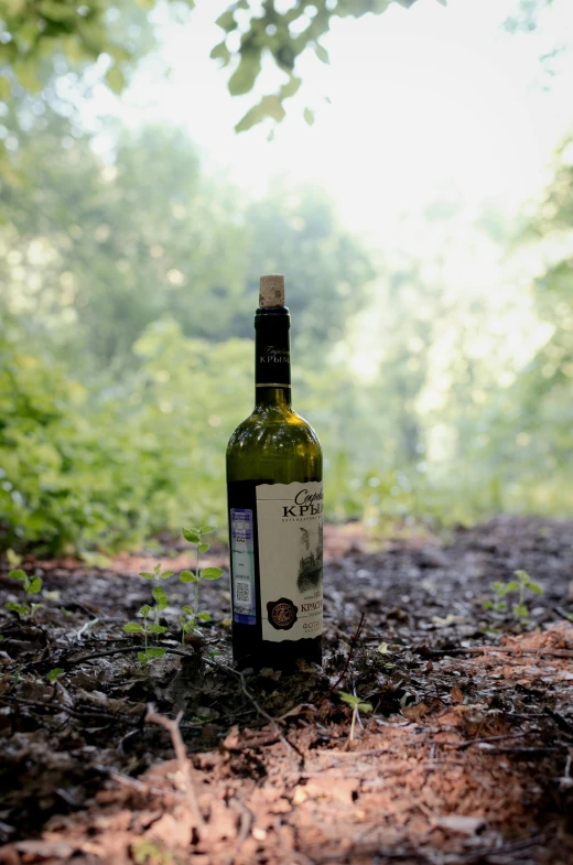 a bottle is on the ground in the woods