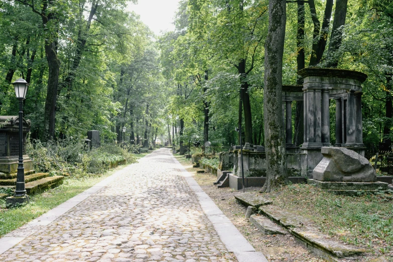 an image of a stone pathway near the forest