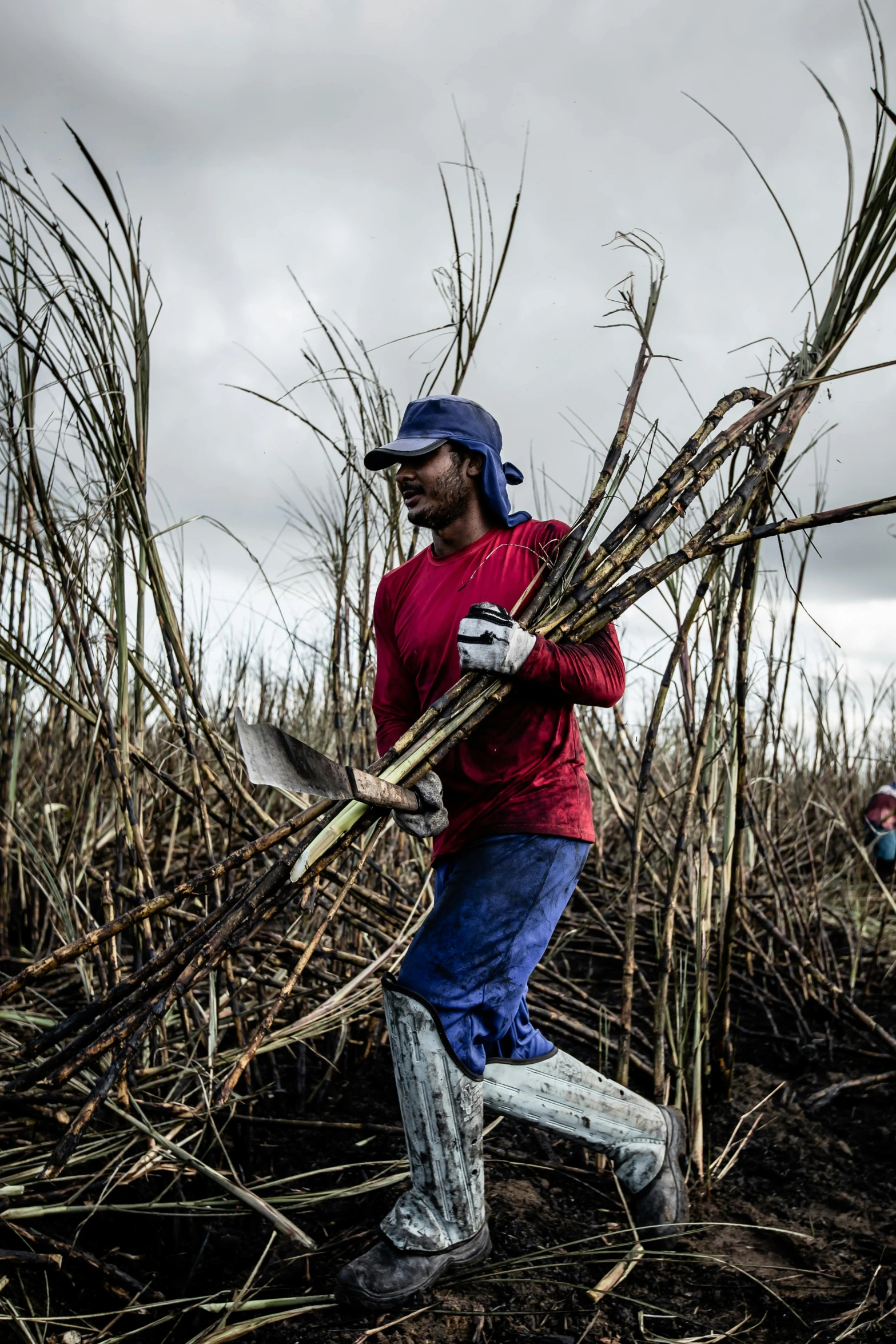 an african american farmer carrying stalks up to his farm