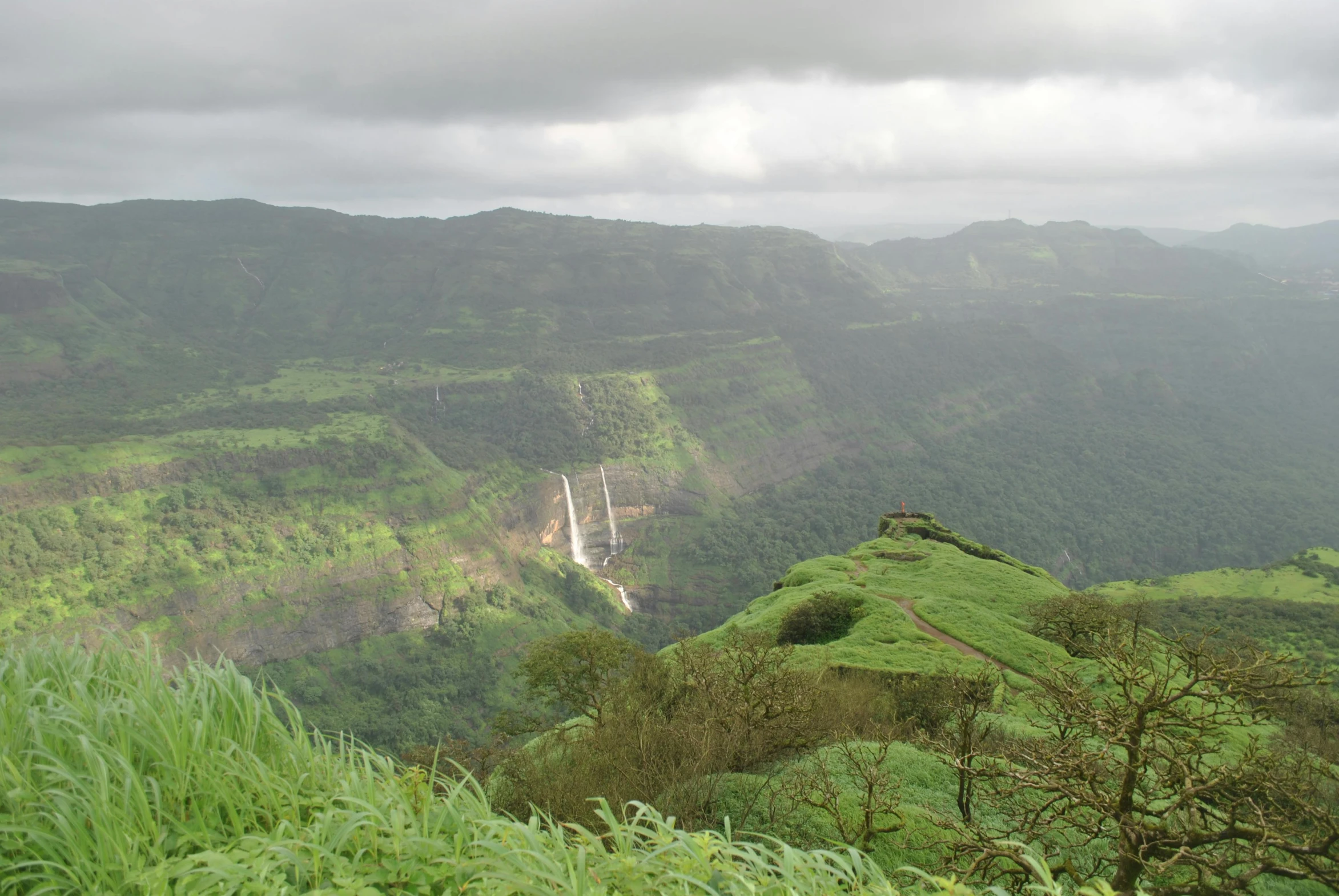 lush vegetation and tall mountains in the background