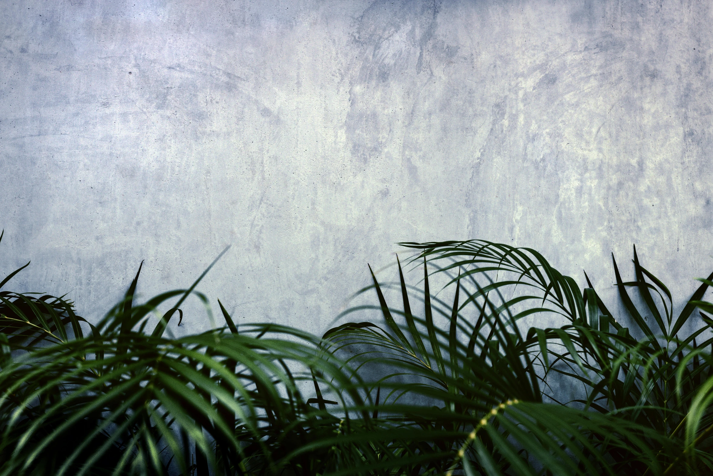 a brown and black clock sitting on the wall next to some plants