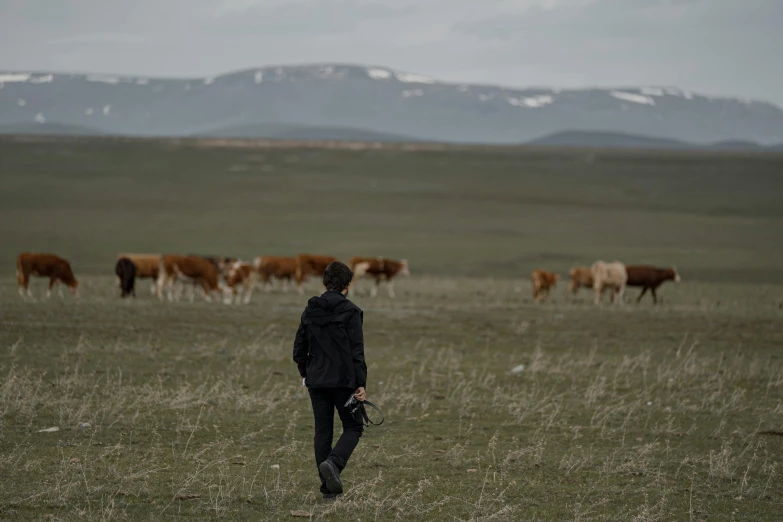 there is a person walking through a field