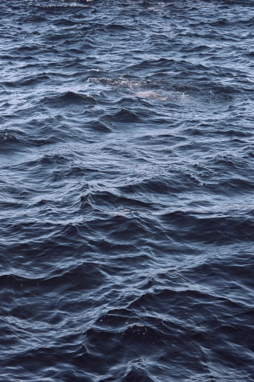 the body of water is very wavy with many small dots on it