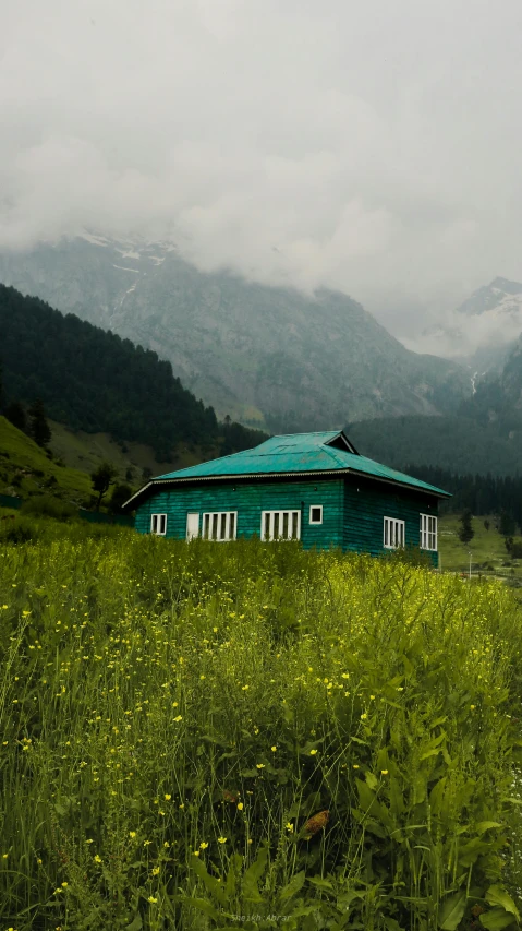 the view of a house in a green landscape