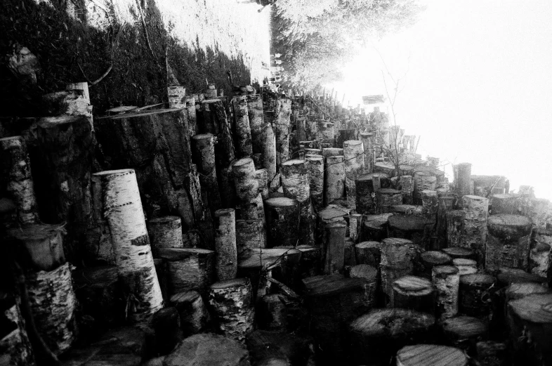 a big bunch of logs are stacked up together