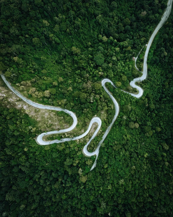 an aerial view of a snake drawn in grass