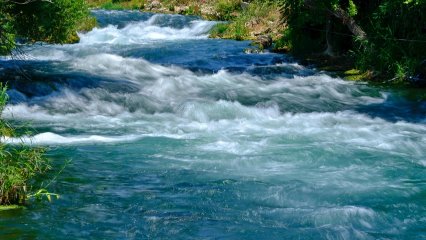 a river in the jungle with white water and green trees