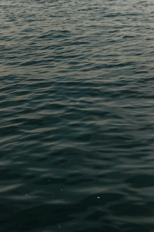 a po taken from the back deck of a boat, looking out at some calm waters