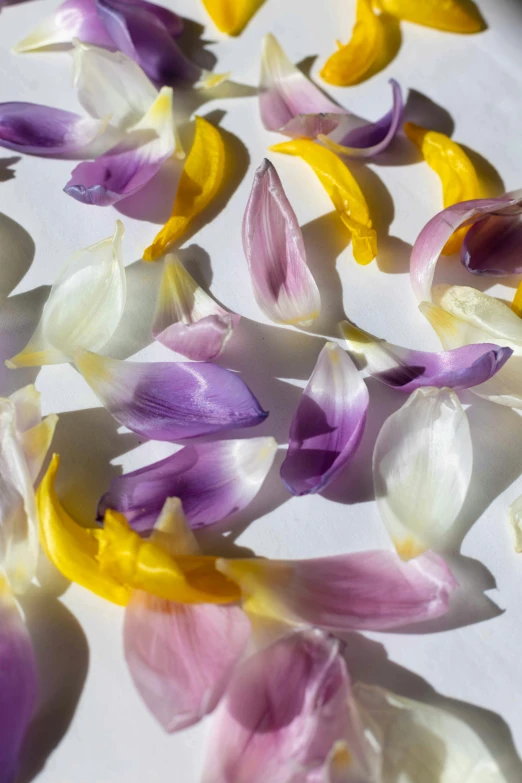 a group of flowers on a table spread out