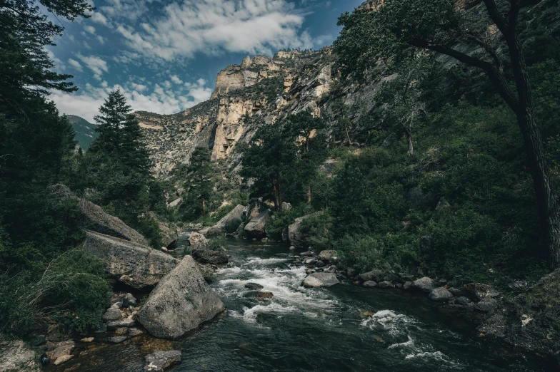 the flowing stream runs along side a cliff