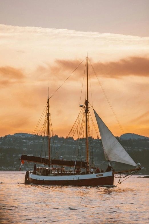 sail boat sailing across water at sunset with land and trees