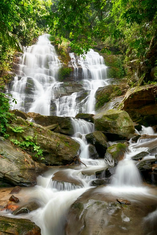 small waterfall in the jungle near some trees