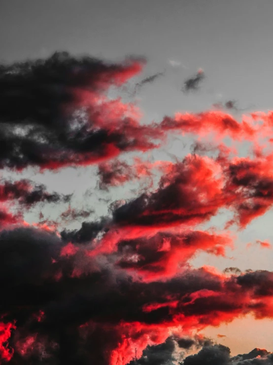 a bird is flying in the sky with red clouds