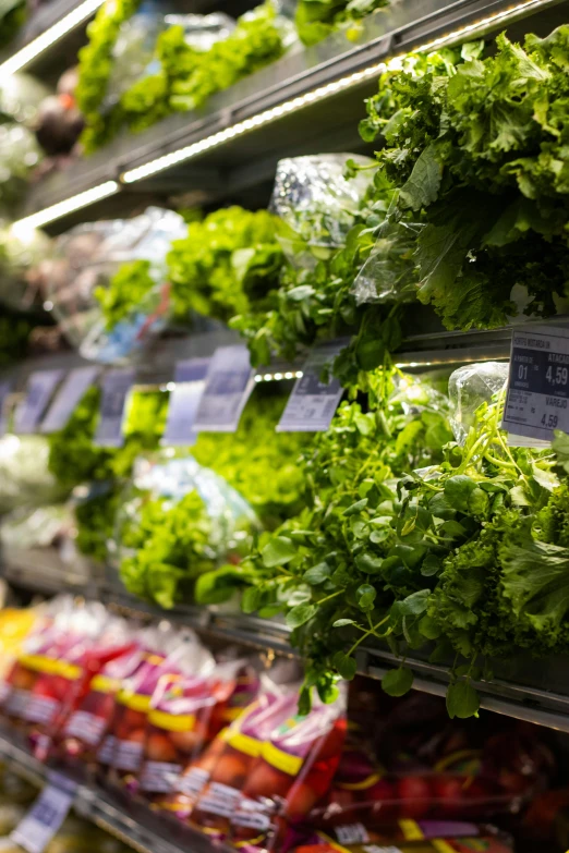 a vegetable display at a grocery store with lots of greens