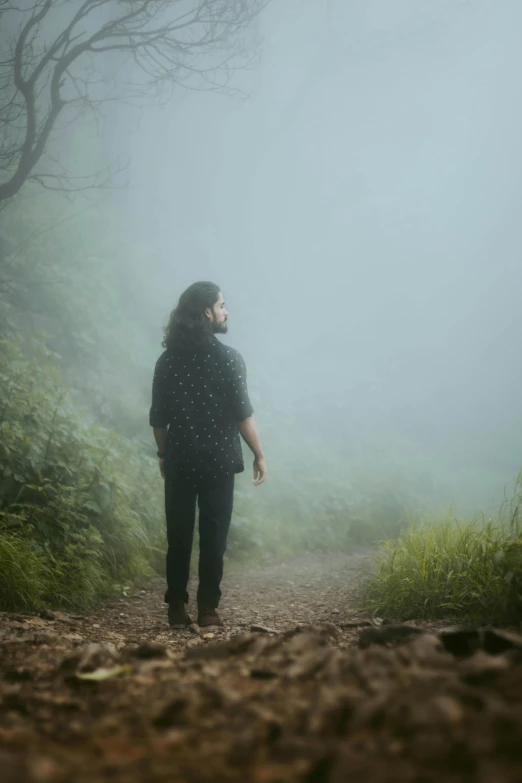 a person standing on a path in the fog