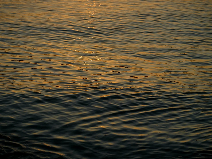 a water surface that is ripples like a wave at sunset