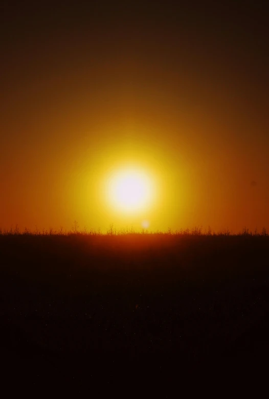 a lone cow standing in the grass as the sun sets