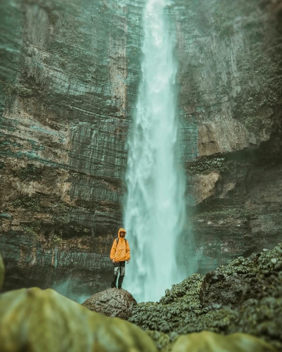 person standing next to a waterfall in a forest