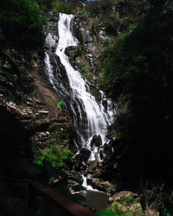 waterfall near water surrounded by trees and vegetation