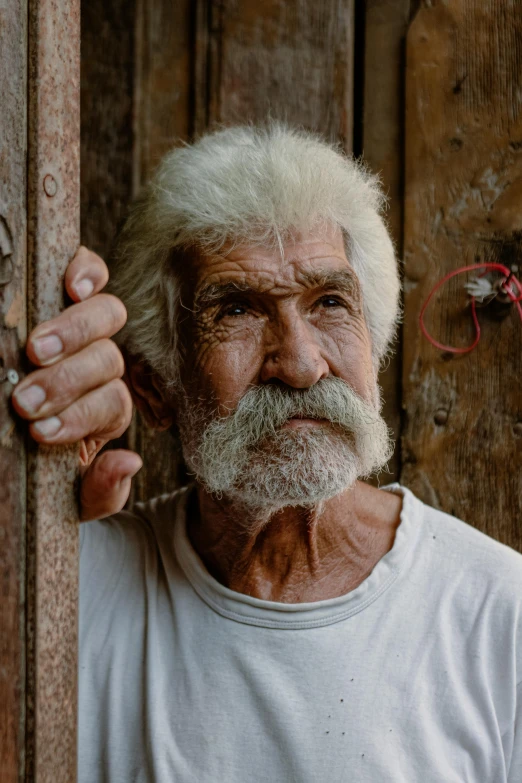 a man with a very hairy mustache and white hair