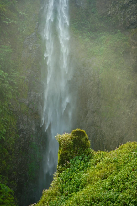 a grassy slope below a waterfall with a bird perched on top