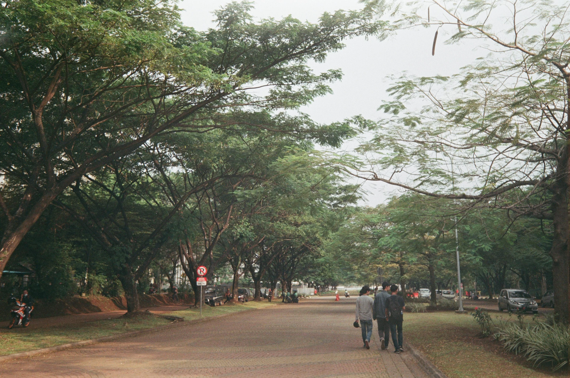 an intersection with some trees and people walking down the middle