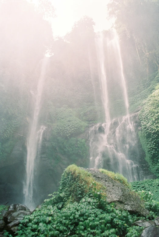 the waterfall is covered with trees and grass