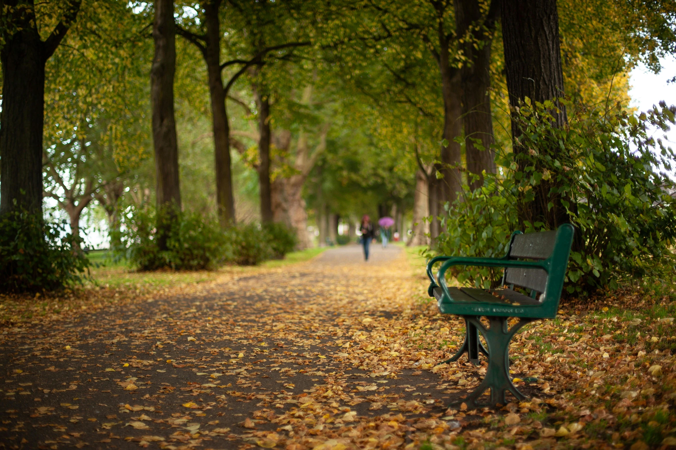 a bench is covered in fall leaves along a path